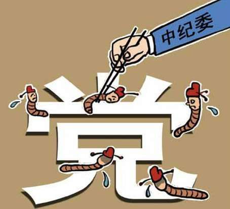 資料圖 資料圖
